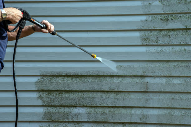 Best Graffiti Removal  in Wmington, IL